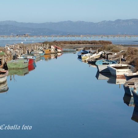 Lo Raconet Daire Deltebre Dış mekan fotoğraf