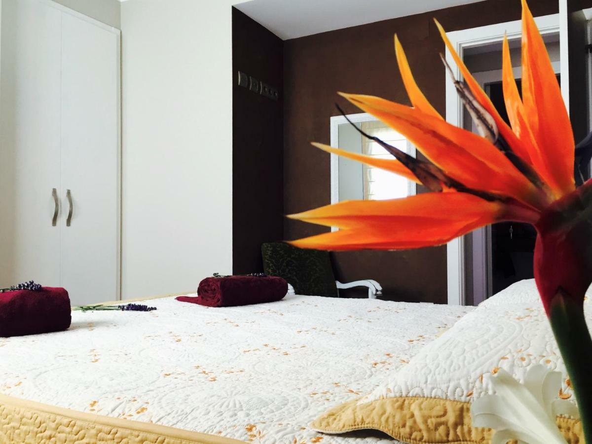 Lo Raconet Daire Deltebre Dış mekan fotoğraf